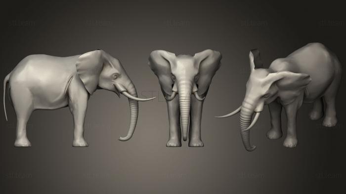 3D model Elephant 01 (STL)